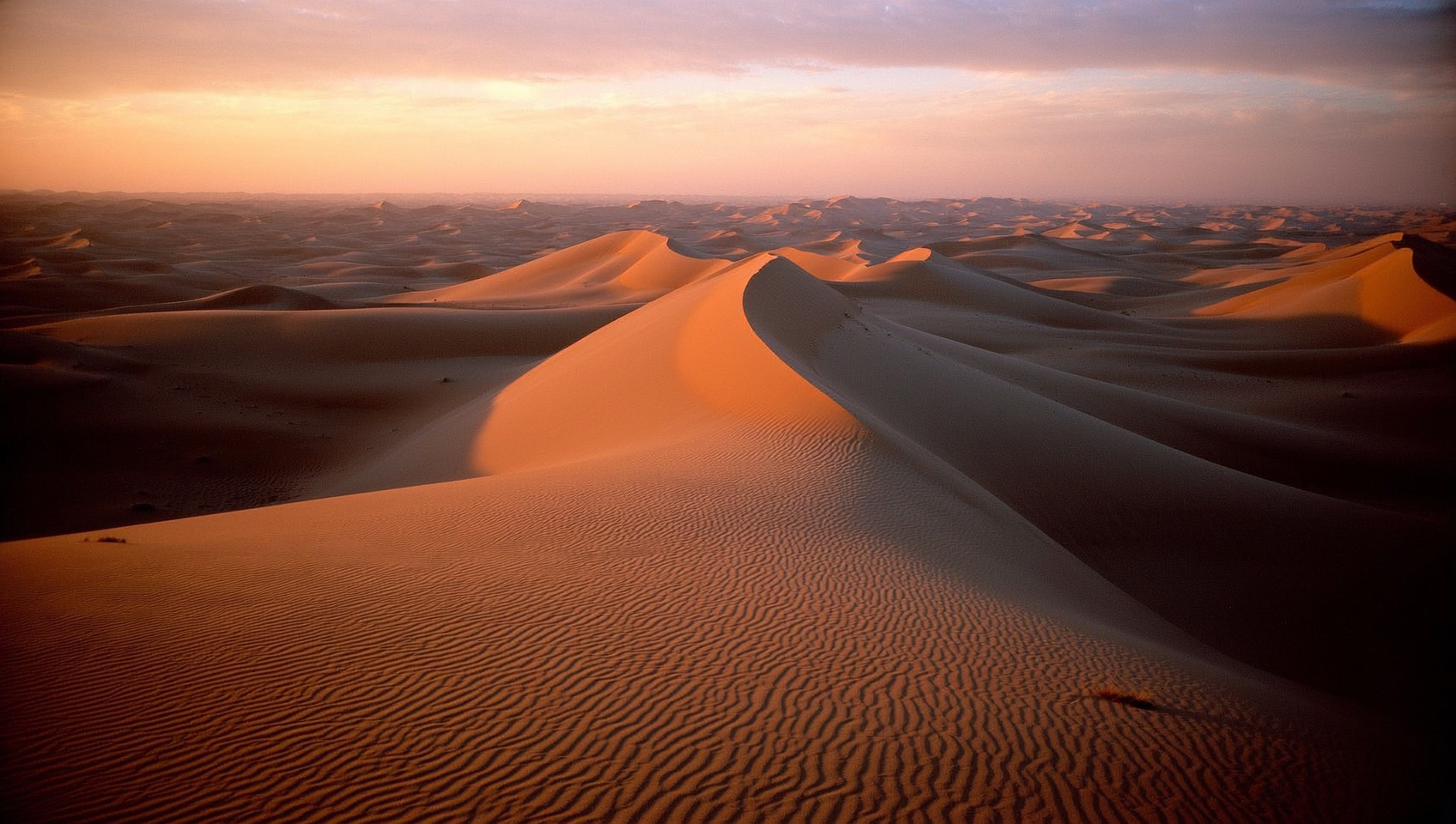 Desert landscape with sand dunes at sunset.